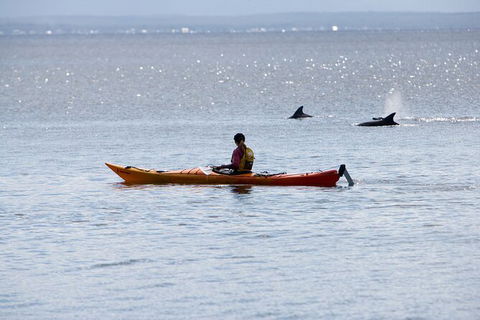 Half-Day Jervis Bay Sea Kayak Tour - Accommodation Mooloolaba 4
