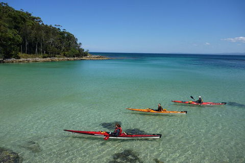 Half-Day Jervis Bay Sea Kayak Tour - Accommodation Mooloolaba 3