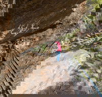 Blue Mountains Highlights  Wildlife Park - Accommodation Mooloolaba