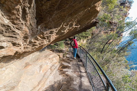 Blue Mountains Highlights & Wildlife Park - Accommodation Mooloolaba 0
