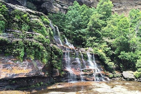 Blue Mountains Highlights & Wildlife Park - Accommodation Mooloolaba 8