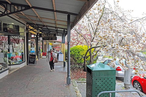 Blue Mountains Highlights, Wildlife Park And Scenic World Full Day Private Tour - Accommodation Mooloolaba 2