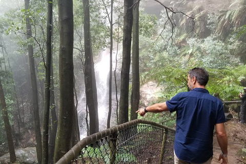 Blue Mountains Highlights, Wildlife Park And Scenic World Full Day Private Tour - Accommodation Mooloolaba 6