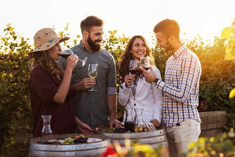 Hunter Valley Highlights Private Wine Tour From Sydney - Accommodation Mooloolaba 0