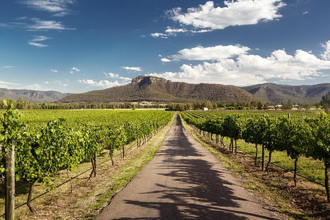 Hunter Valley Highlights Private Wine Tour From Sydney - Accommodation Mooloolaba 2