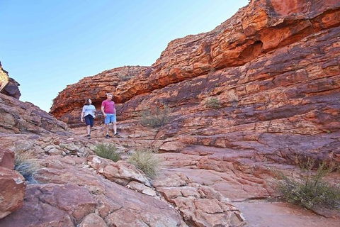 The Amazing Kings Canyon: 4-Hours Walking Tour And Hike - Accommodation Mooloolaba 0