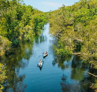 Cruise 'n' Canoe to Australia's Everglades - Accommodation Mooloolaba