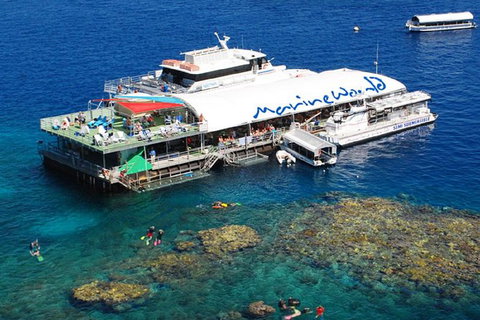 Cairns 2-Day Combo: Great Barrier Reef Cruise And Kuranda - Accommodation Mooloolaba 5