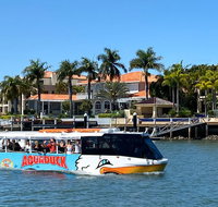 Aquaduck Sunshine Coast - Accommodation Mooloolaba