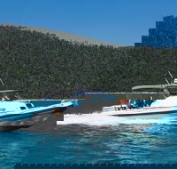 Private Standard Charter Experience in Whitsundays - Accommodation Mooloolaba