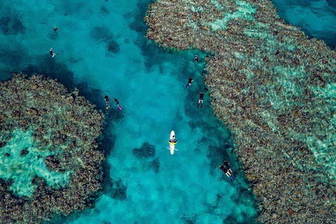Full Day Snorkel In The Great Barrier Reef - Accommodation Mooloolaba 1