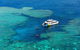 Full Day Snorkel In The Great Barrier Reef - thumb 6