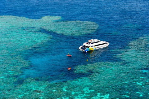 Full Day Snorkel In The Great Barrier Reef - Accommodation Mooloolaba 6