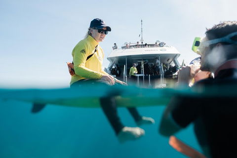 Full Day Snorkel In The Great Barrier Reef - Accommodation Mooloolaba 7
