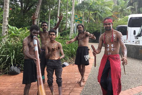 Cairns City Tour - Accommodation Mooloolaba 2
