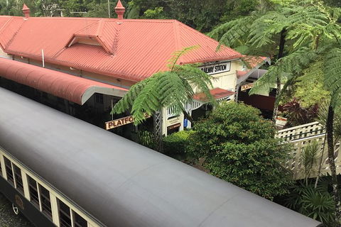 Cairns City Tour - Accommodation Mooloolaba 5