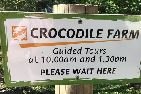 Cairns City Tour - Accommodation Mooloolaba 3