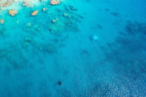 Premium Private Charter - Accommodation Mooloolaba 5