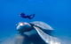 Premium Private Charter - thumb 9