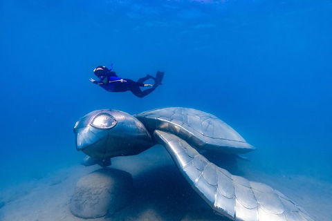 Premium Private Charter - Accommodation Mooloolaba 9
