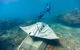 Premium Private Charter - thumb 10
