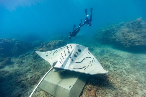 Premium Private Charter - Accommodation Mooloolaba 10