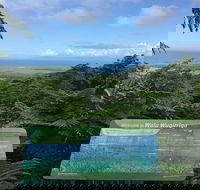 Daintree Luxury Limousine Tour - Full Day - Accommodation Mooloolaba