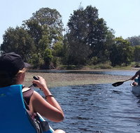 Noosa Hinterland Scenic Canoe  FAT Bike Tour - Accommodation Mooloolaba