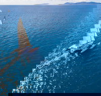2-Night Whitsunday Islands Sailing Adventure on Trimaran 'Avatar' - Accommodation Mooloolaba