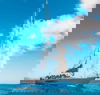 3 Day and 2 Night Whitsundays Maxi Sailing Adventure on Hammer - Accommodation Mooloolaba