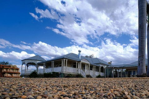 Camel Farm Tour And Taste Near Brisbane - Accommodation Mooloolaba 1
