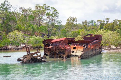 Sandy Straits Scenic & Wildlife Cruise - Accommodation Mooloolaba 9