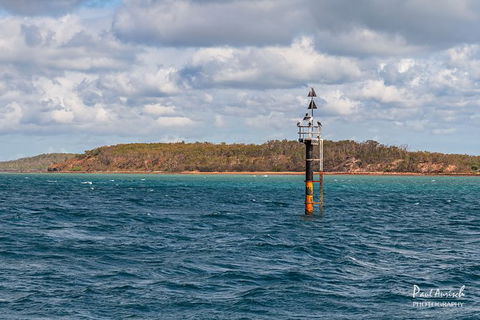 Sandy Straits Scenic & Wildlife Cruise - Accommodation Mooloolaba 6