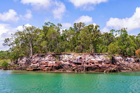 Sandy Straits Scenic & Wildlife Cruise - Accommodation Mooloolaba 2