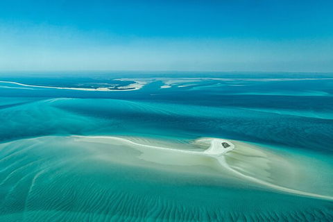 Sandy Straits Scenic & Wildlife Cruise - Accommodation Mooloolaba 5