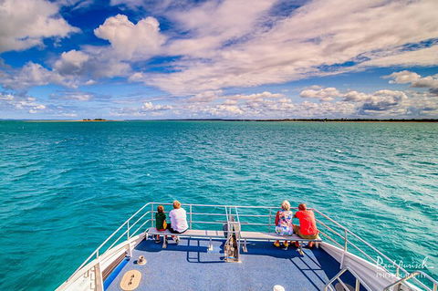 Sandy Straits Scenic & Wildlife Cruise - Accommodation Mooloolaba 7