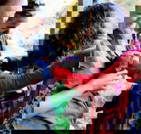 Sunset Experience - Accommodation Mooloolaba