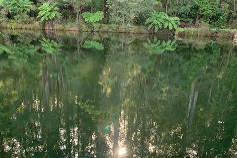 Hiking Tour To Aqueduct And Warburton Valley Lookout - Accommodation Mooloolaba 2