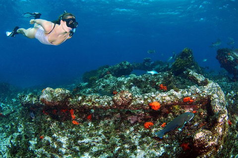 Abrolhos Islands 5 Day Tours - Accommodation Mooloolaba 3