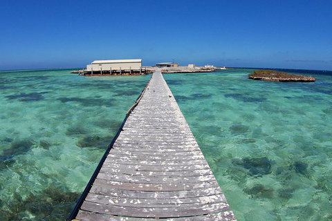 Abrolhos Islands 5 Day Tours - Accommodation Mooloolaba 4