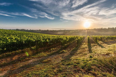 Perth To Margaret River Wine Tour - 2 Day Premium Boutique Wine Tour Experience - Accommodation Mooloolaba 0
