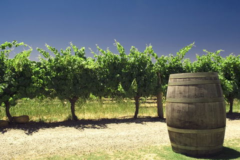 Pinnacles Desert Private Tour - Accommodation Mooloolaba 4