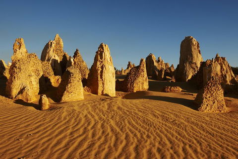 Pinnacles Desert Private Tour - Accommodation Mooloolaba 0