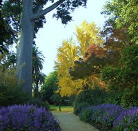 Albury Botanic Garden - Accommodation Mooloolaba
