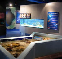 Marine and Freshwater Discovery Centre - Accommodation Mooloolaba