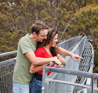 Valley of the Giants Tree Top Walk - Accommodation Mooloolaba