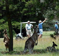 Glen Innes Golf Club - Accommodation Mooloolaba