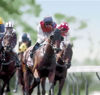 Colac Turf Club - Accommodation Mooloolaba
