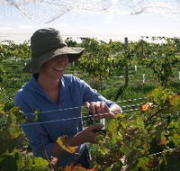 Kingsdale Wines - Accommodation Mooloolaba
