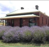 Lavender House in Railway Park - Accommodation Mooloolaba